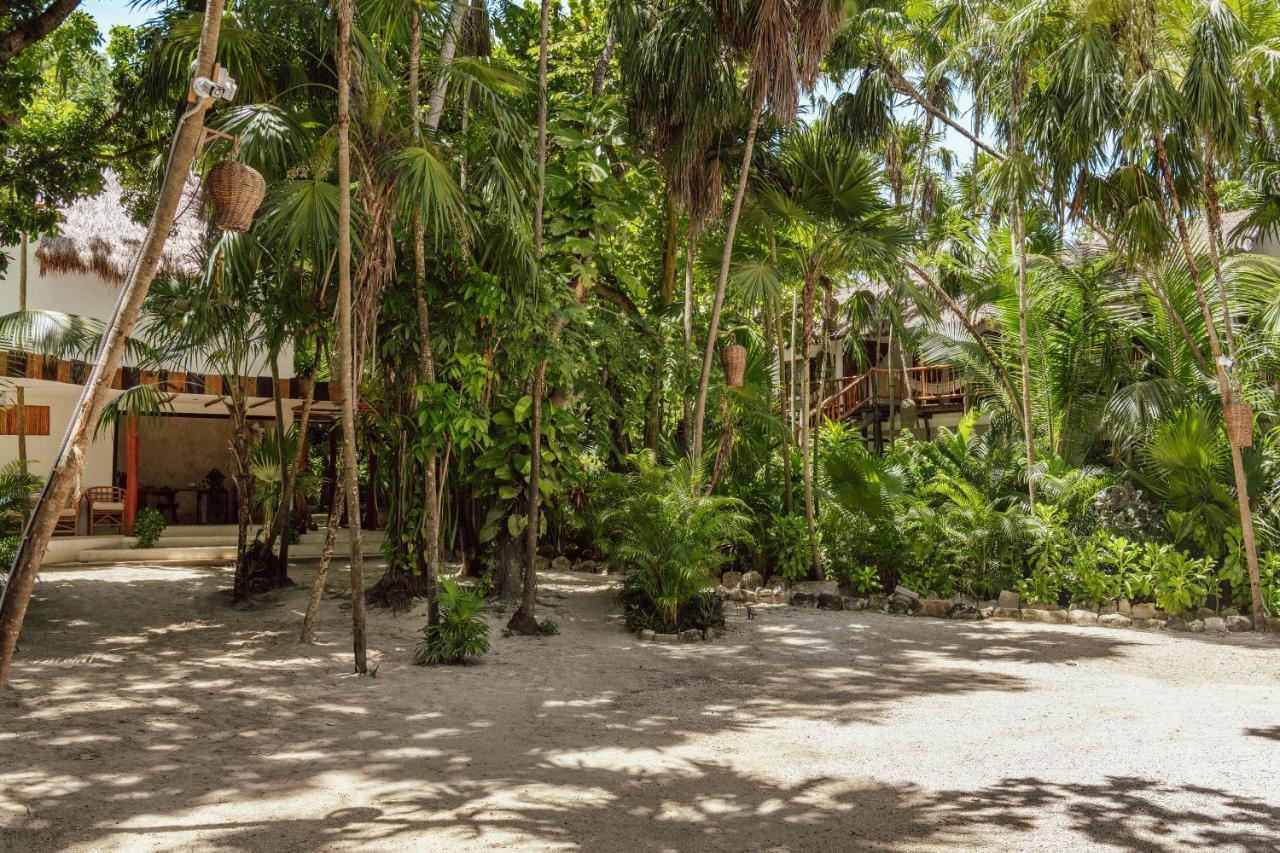 Dos Ceibas Tulum - Massage & Yoga Inclusive Hotel Exterior foto